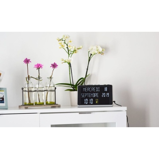 product-91-1.jpg